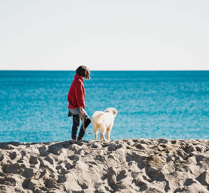 ¡Guau! ¡Guau!, Booking.com revela los destinos donde las mascotas son las verdaderas dueñas del VIP