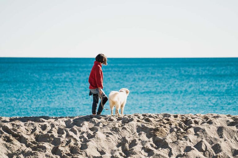 ¡Guau! ¡Guau!, Booking.com revela los destinos donde las mascotas son las verdaderas dueñas del VIP
