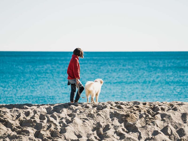 ¡Guau! ¡Guau!, Booking.com revela los destinos donde las mascotas son las verdaderas dueñas del VIP