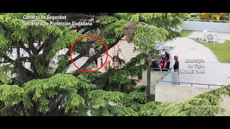 El miedo a las alturas paralizó al ladrón: ingresó a un domicilio para robar pero al intentar escapar quedó atrapado en un árbol