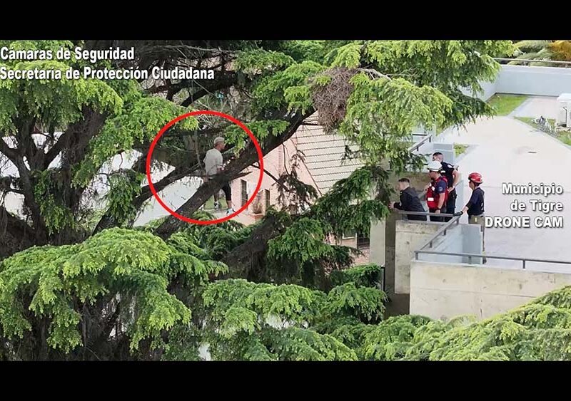 El miedo a las alturas paralizó al ladrón: ingresó a un domicilio para robar pero al intentar escapar quedó atrapado en un árbol