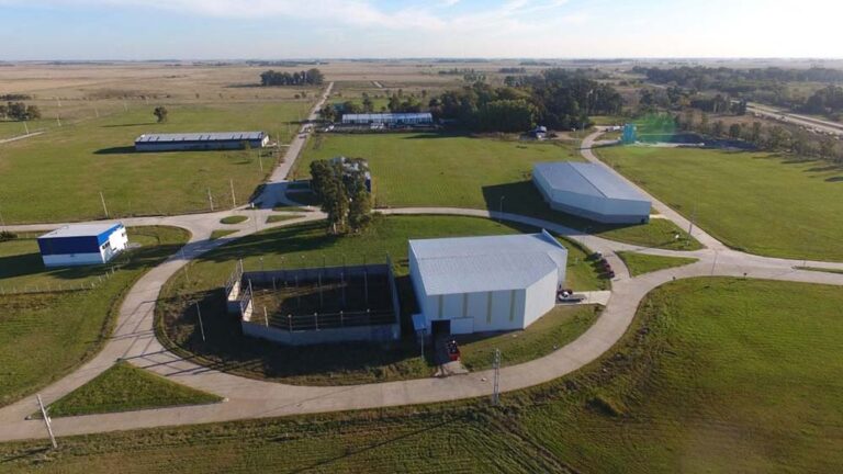 San Vicente busca ganar terreno en la industria farmacéutica con nuevas inversiones