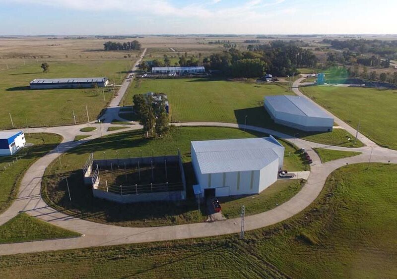 San Vicente busca ganar terreno en la industria farmacéutica con nuevas inversiones