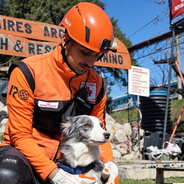 “Historias que dejan huella”: el poder del olfato canino en la búsqueda y el rescate de personas