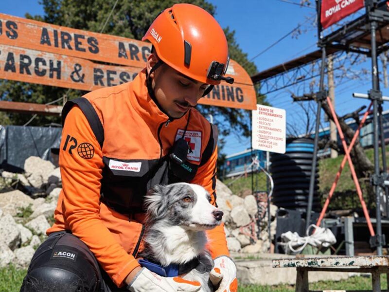 “Historias que dejan huella”: el poder del olfato canino en la búsqueda y el rescate de personas