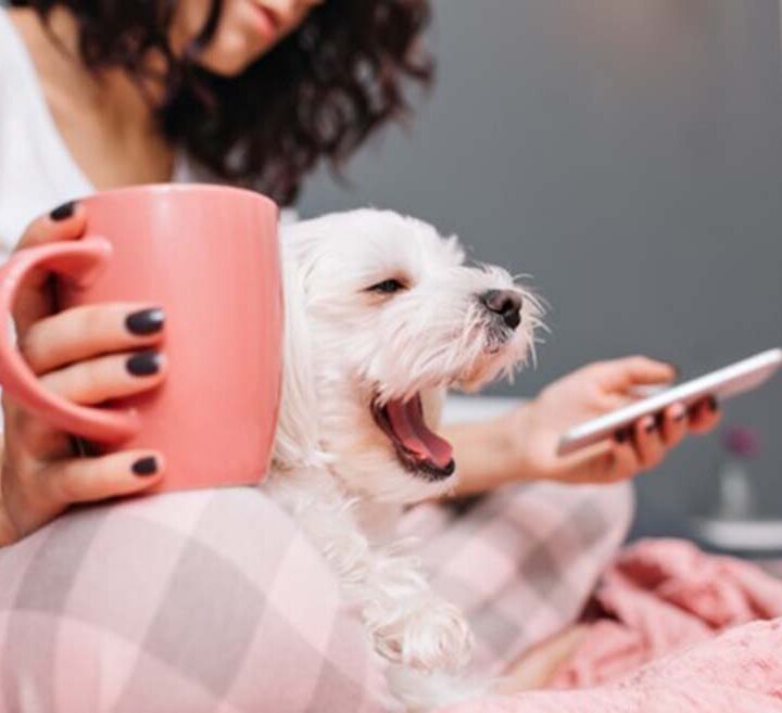 Salud mental y conexión: el vínculo con las mascotas como parte del bienestar cotidiano