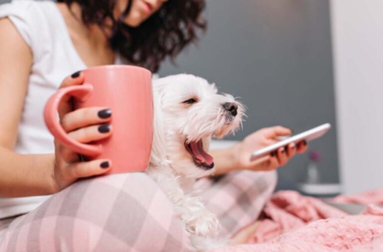 Salud mental y conexión: el vínculo con las mascotas como parte del bienestar cotidiano
